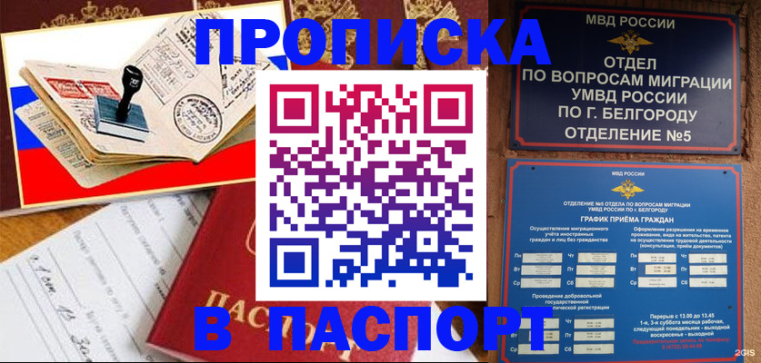 купить прописку в Александровске
